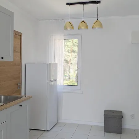 House In Pine Forest 5 *