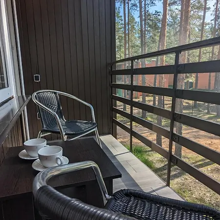 House In Pine Forest 5 *