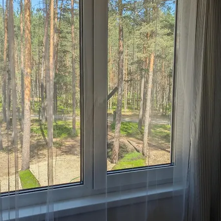 House In Pine Forest 5 *